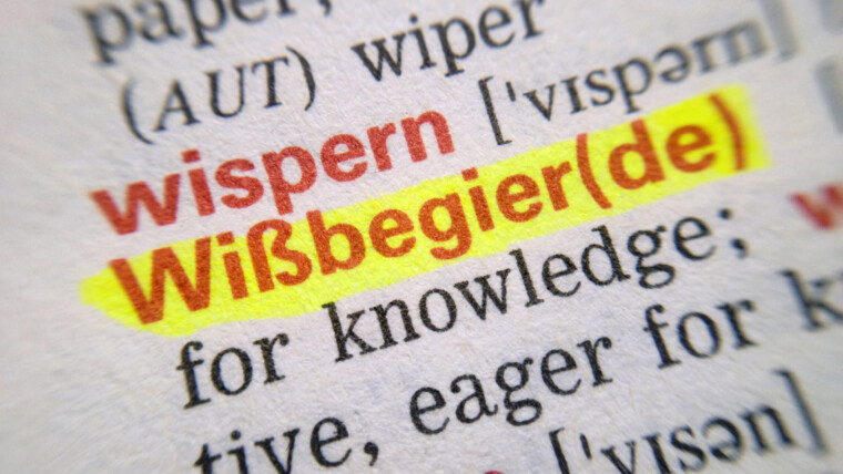 Page of dictionary