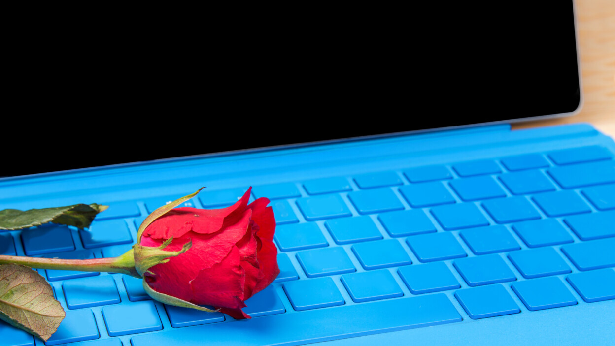 czerwony kwiat róży na laptopie niebieski typer