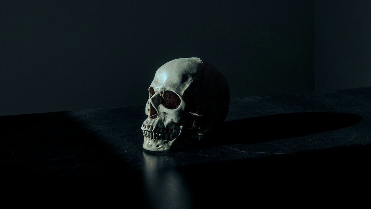 white and black skull figurine on black surface
