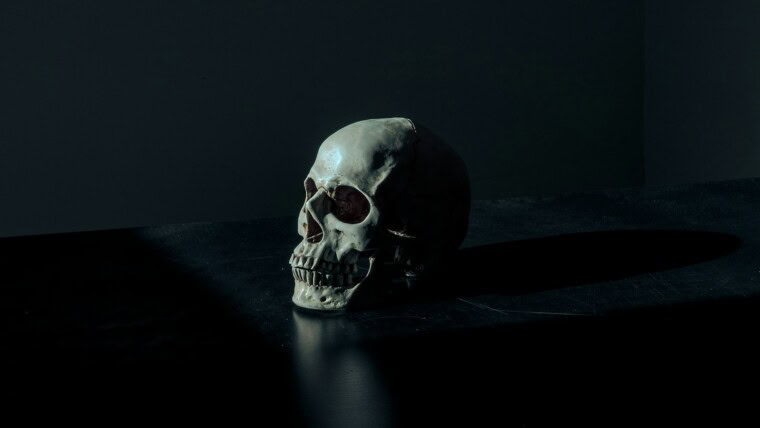 white and black skull figurine on black surface